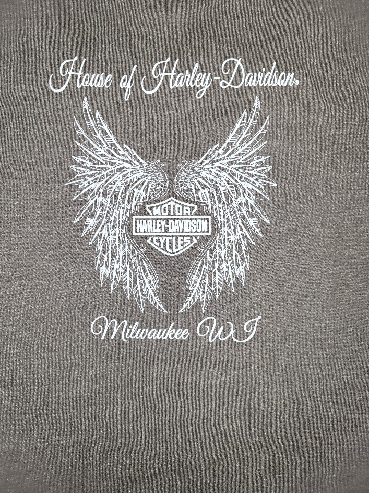 
                  
                    Harley-Davidson® Ladies Passing V-Neck Short Sleeve T-Shirt | Charcoal Heather
                  
                