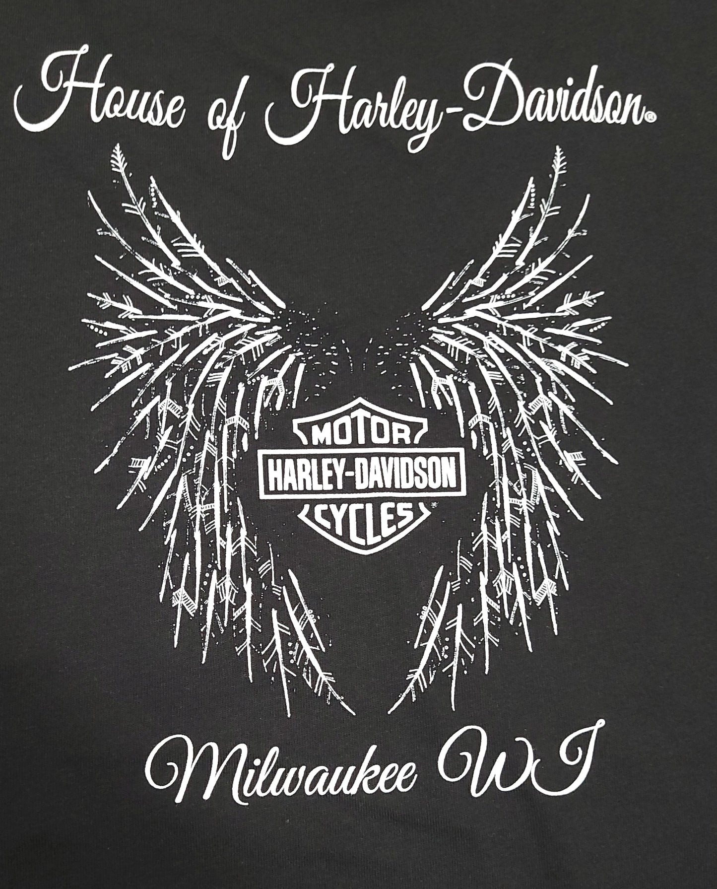 
                  
                    Harley-Davidson® Ladies Control Short Sleeve Notched V-Neck T-Shirt | Black
                  
                