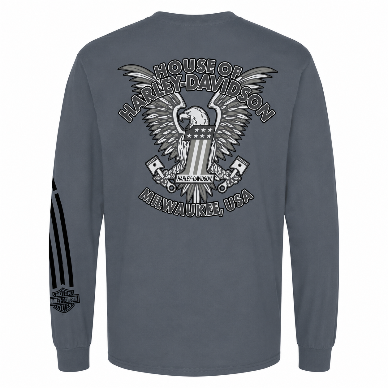 Harley-Davidson® Men's Freedom Eagle Long Sleeve T-Shirt | Stormy