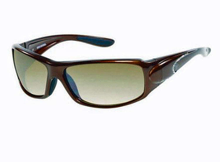 Harley-Davidson® Brown Flash Sunglasses | Pearl Brown Frame