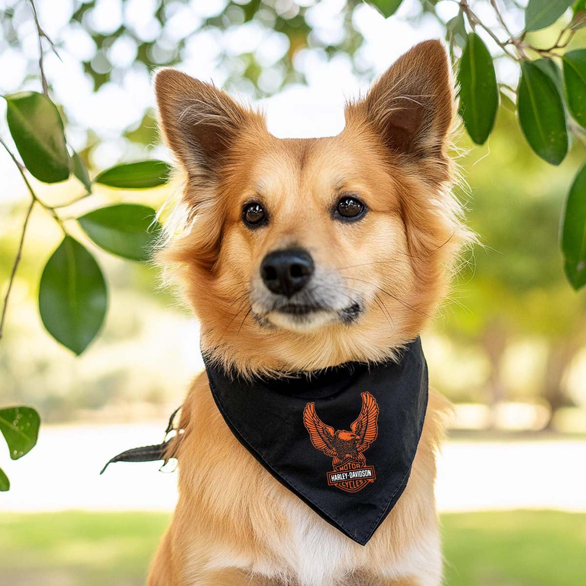 Harley-Davidson® Bar & Shield® Eagle Pet Bandana - 2 Sizes | House