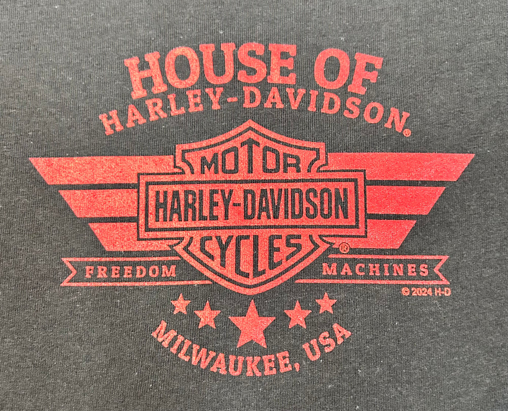 
                  
                    Harley-Davidson® Long Flag Short Sleeve V-Neck T-Shirt | Black
                  
                