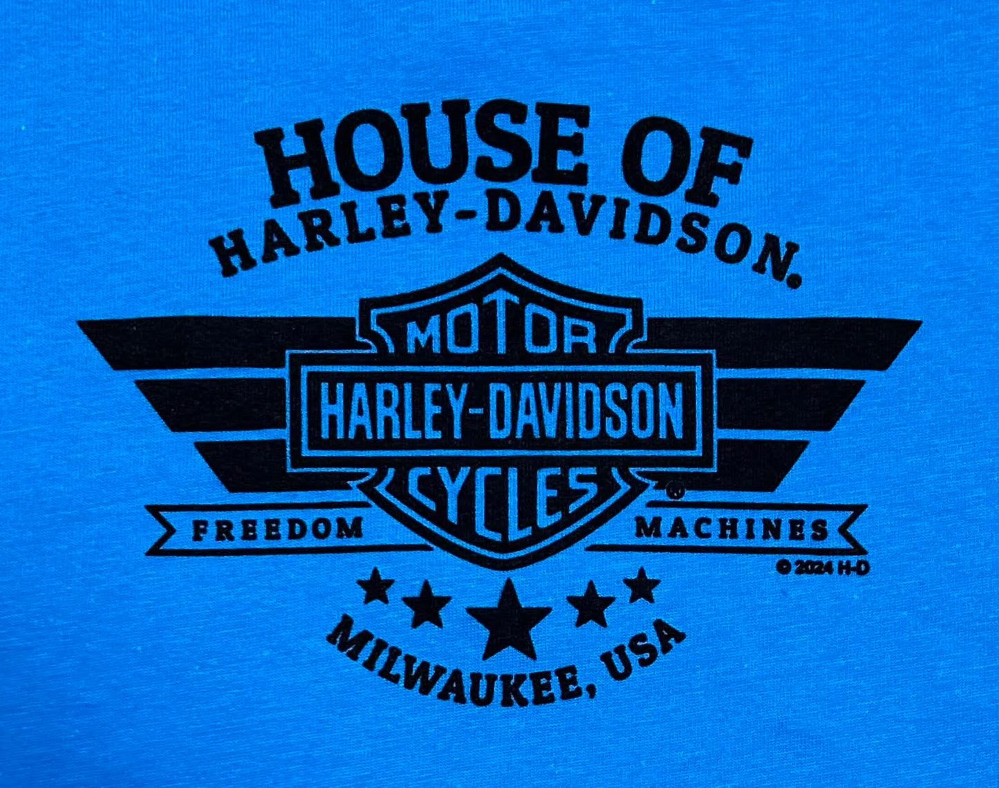 
                  
                    Harley-Davidson® Ladies Speed & Beauty Short Sleeve V-Neck T-Shirt | Turquoise
                  
                