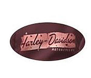 
                  
                    Harley-Davidson® Infant & Toddler Girls' Hooded Fleece Jog Set | 2-Piece Set | Lined Hood | Raglan Sleeves
                  
                