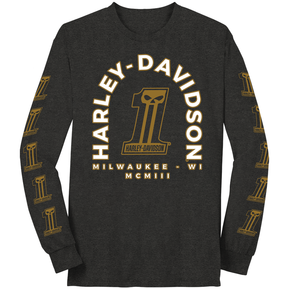 Harley-Davidson® Men's One Skull Long Sleeve Shirt | Charcoal