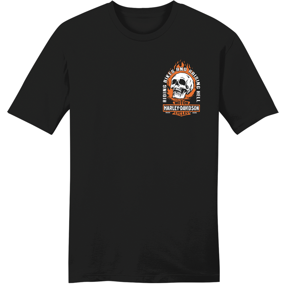 Harley-Davidson® Men's Flame Skull Short Sleeve T-Shirt | Black