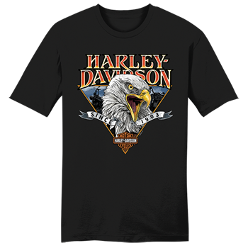 Harley-Davidson® Men's Bold Legend Tee - Black