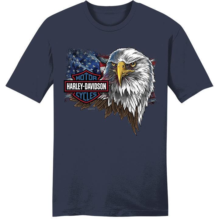 Harley-Davidson® Men's Freedom Ride Tee - Mood Indigo
