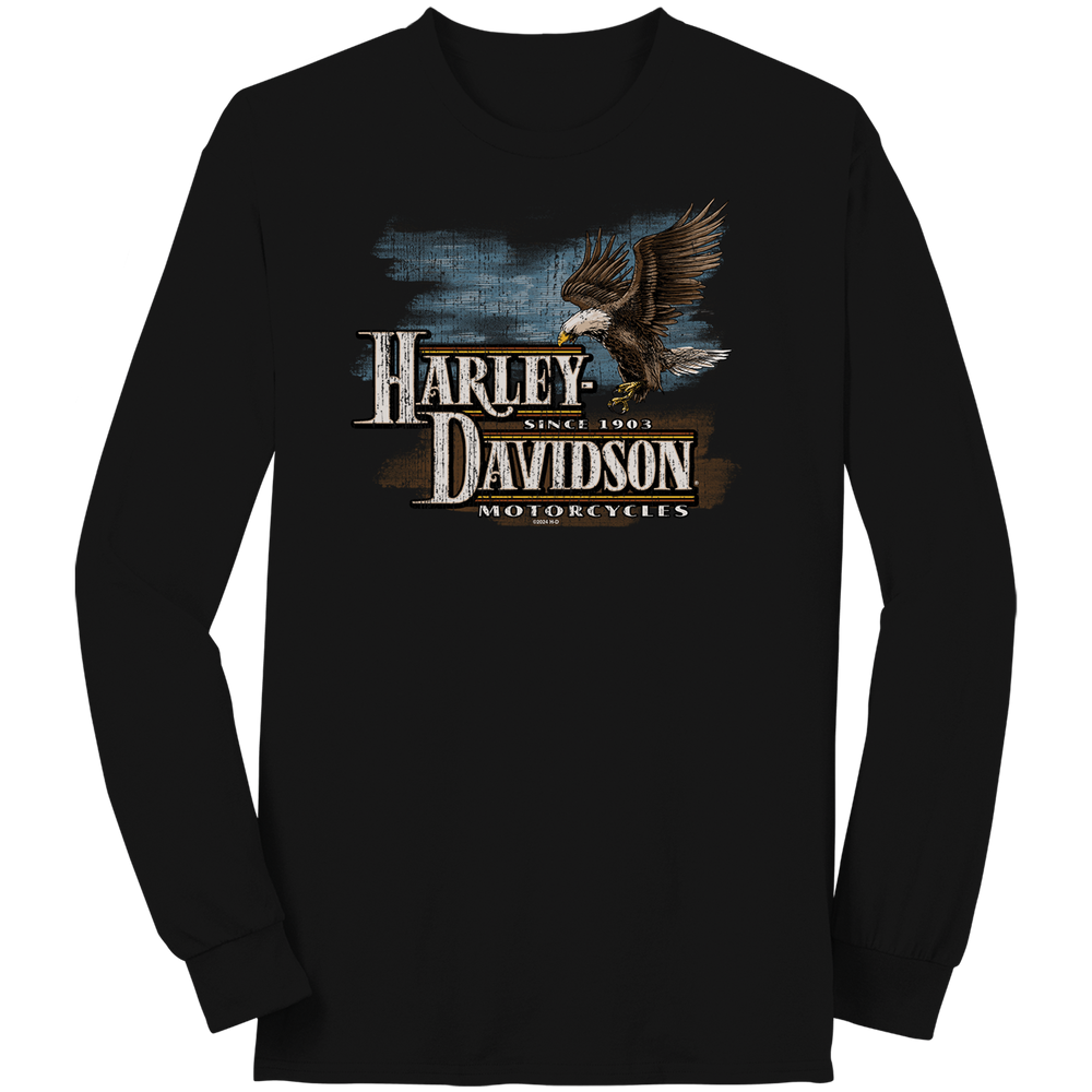 Harley-Davidson® Men's Facing Freedom Long Sleeve T-Shirt | Black