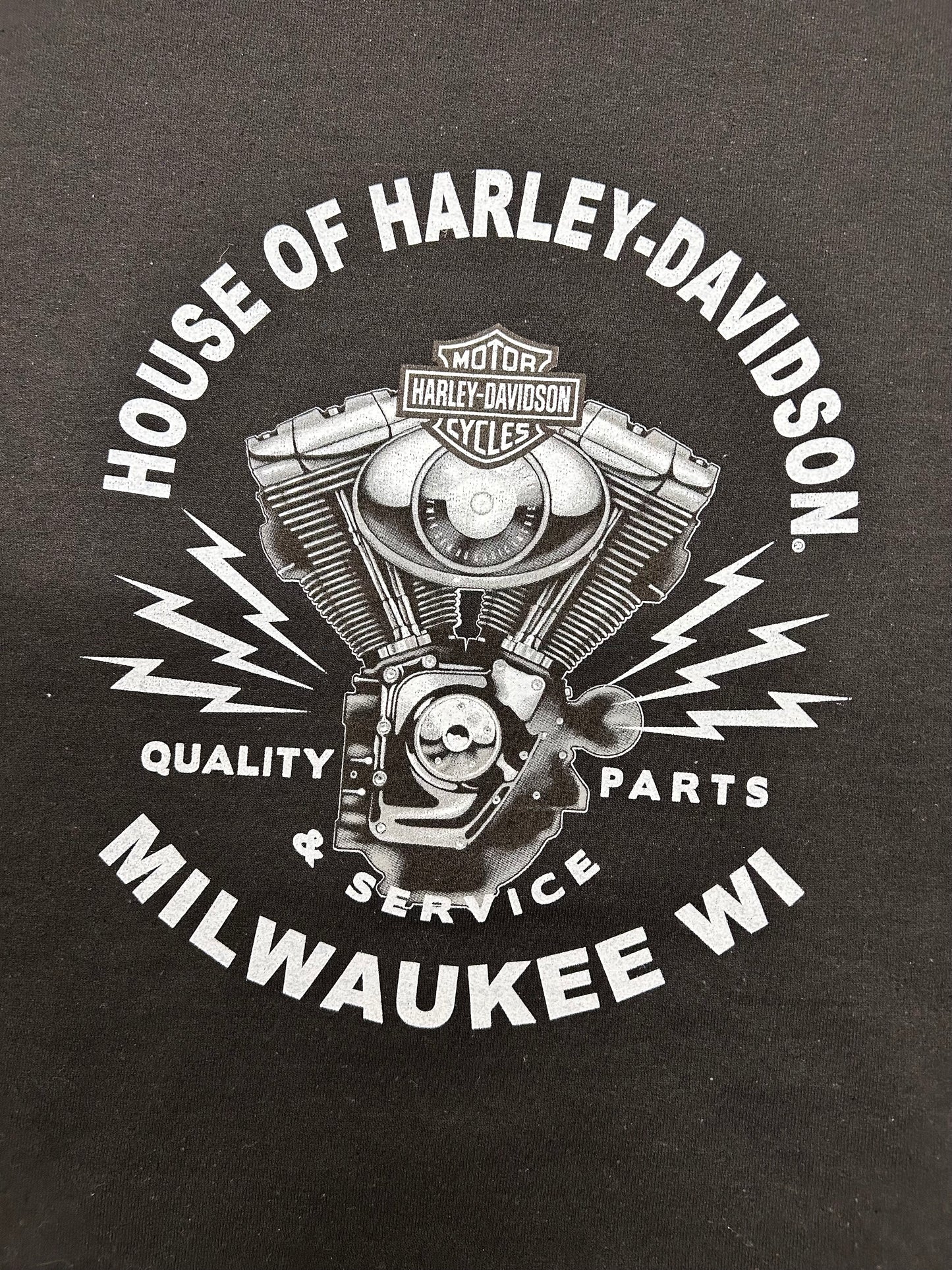 Harley-Davidson® Men's #1 Dark Custom™ Skull Logo Pullover Hoodie | Black