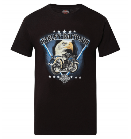 Harley-Davidson® Men's Eagle Struck Short Sleeve T-Shirt | Black