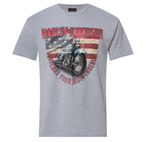 Harley-Davidson® Men's Manifest Short Sleeve T-Shirt | Grey