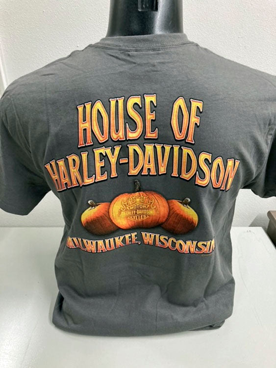 
                  
                    Harley-Davidson® Men's Ghost Rider Halloween T-Shirt | Grey | Short Sleeves
                  
                