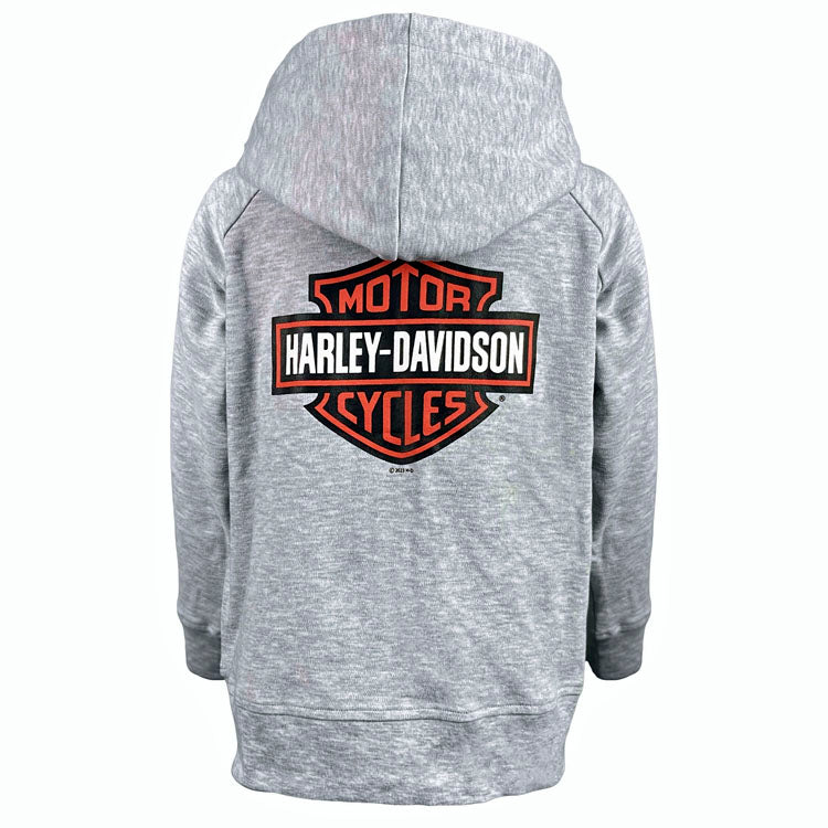 Grey harley davidson hoodie on sale