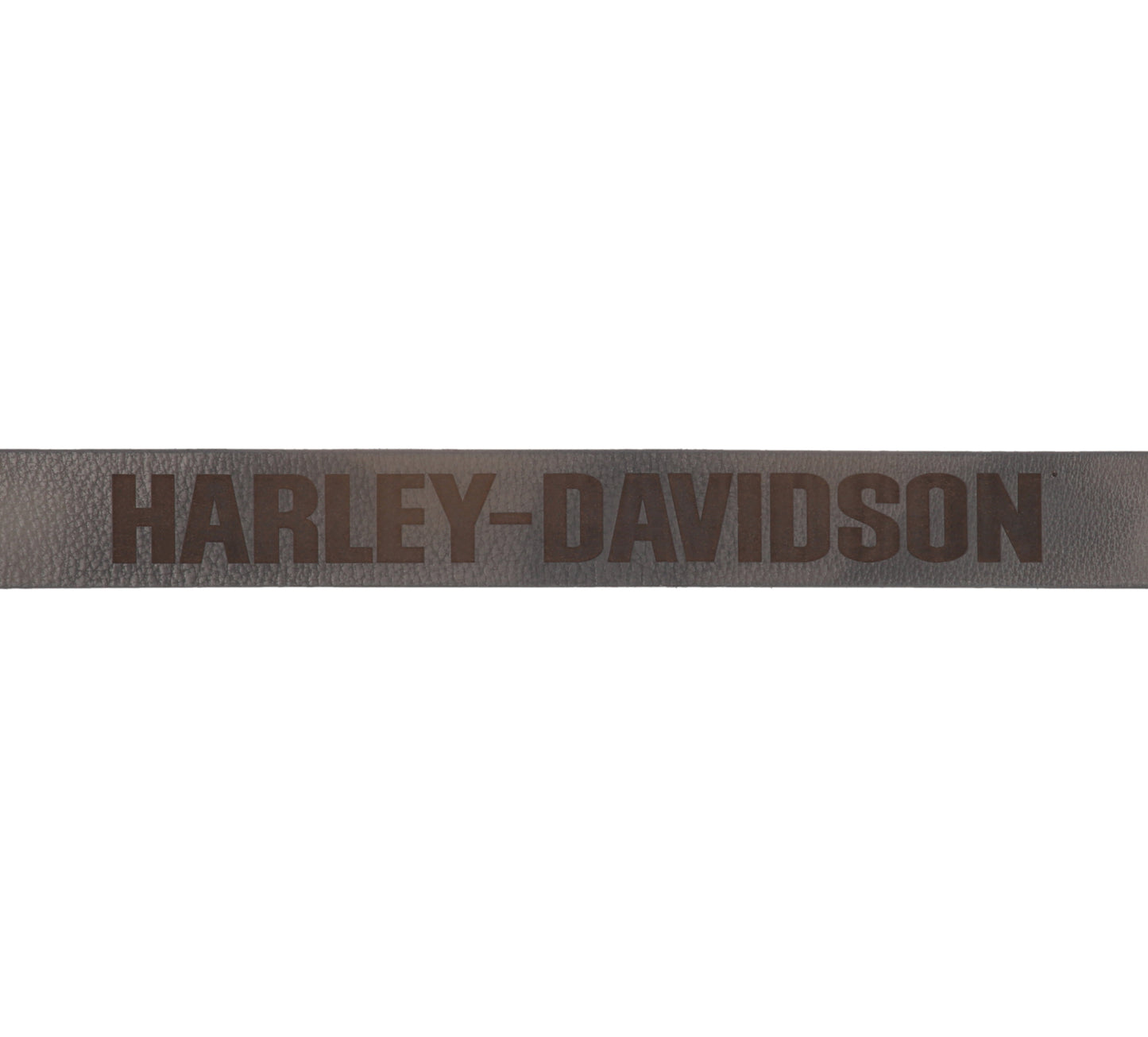 
                  
                    Harley-Davidson® Men's Grunge Belt | Black
                  
                