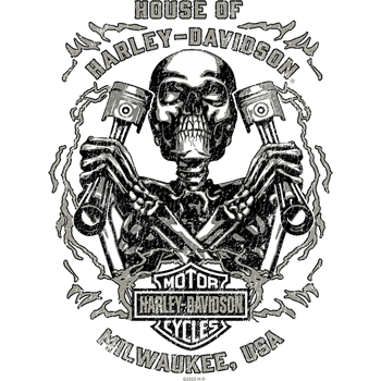 
                  
                    Harley-Davidson® Men's Flame Helmet Skull Tee - Black
                  
                