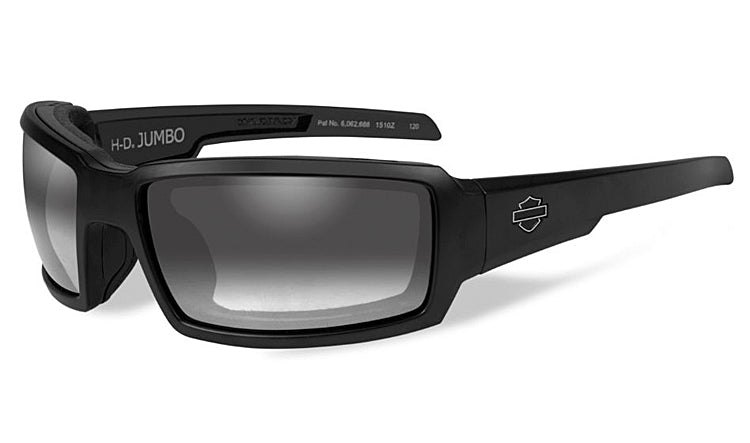 
                  
                    Harley-Davidson® Men's Wiley X® Jumbo Sunglasses | Light Adjusting Grey Lenses | Matte Black Frames
                  
                