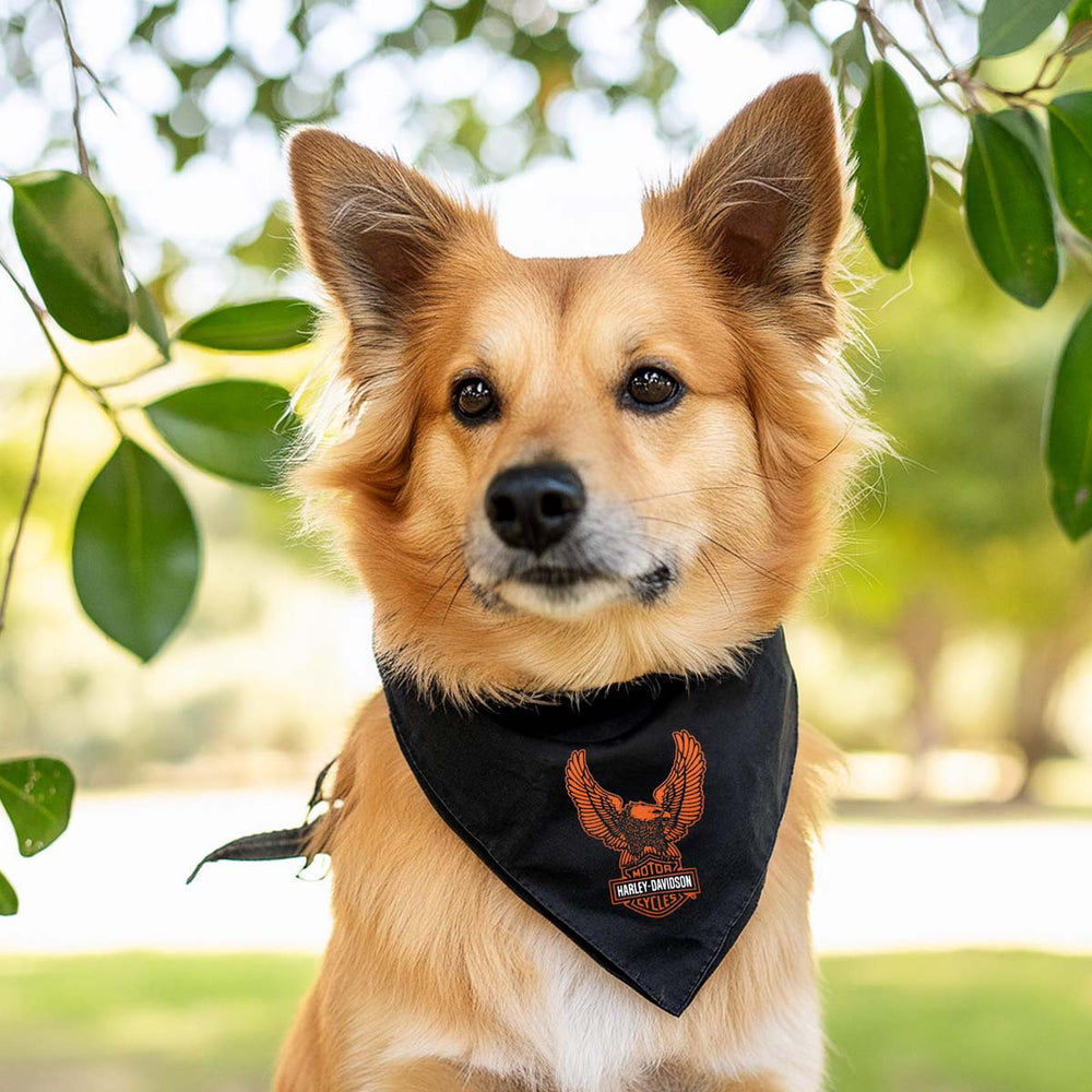 Harley Dog Collars Dog Harley Davidson Dog Jacket Harley