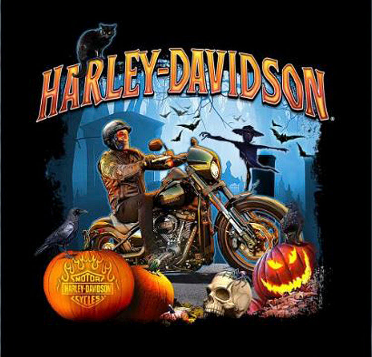 
                  
                    Harley-Davidson® Men's Ghost Rider Halloween T-Shirt | Grey | Long Sleeves
                  
                