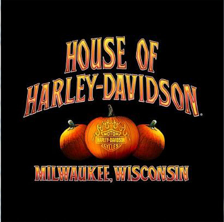 
                  
                    Harley-Davidson® Men's Ghost Rider Halloween T-Shirt | Black | Long Sleeves
                  
                