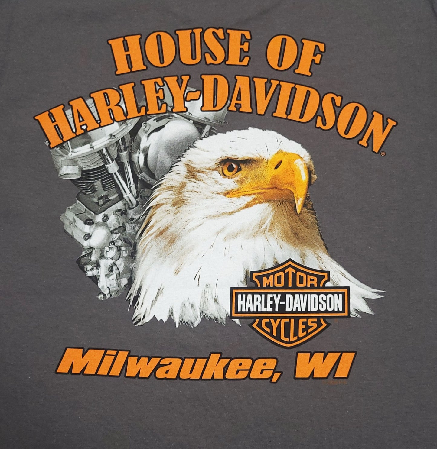 
                  
                    Harley-Davidson® Men's Terrace Sleeveless T-Shirt | Charcoal
                  
                