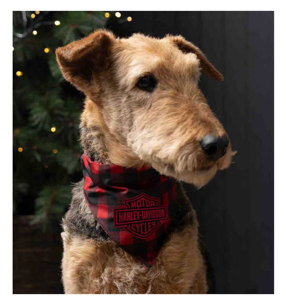 Harley-Davidson® Plaid Pet Bandana | Large/X-Large