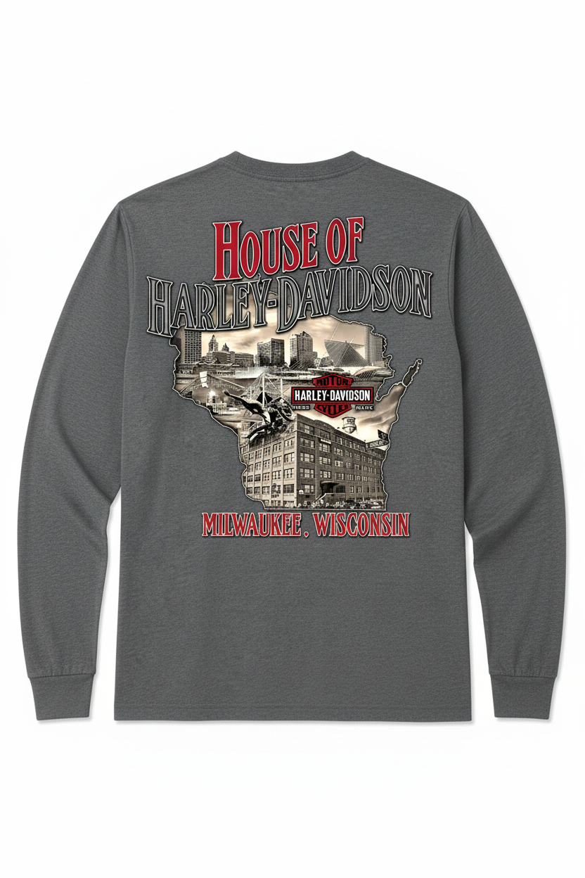 Rear gray long-sleeve product image